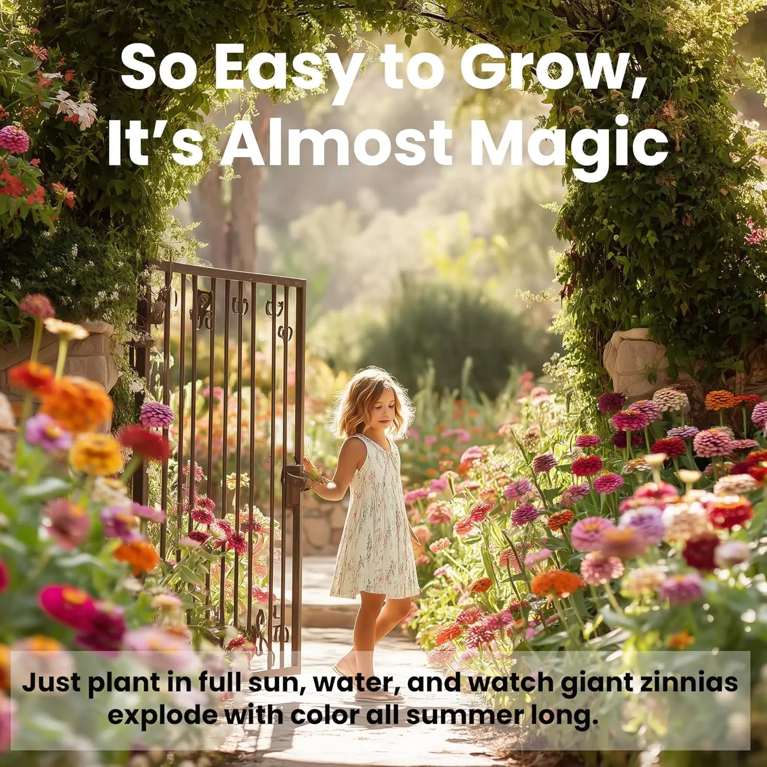 Zinnia Flower Seeds – California Giants Mix