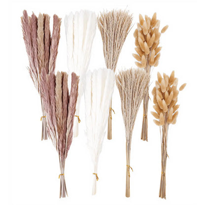 Nortureflora Natural Dried Pampas Grass Decorative Flower Set - 100/200/300/400PCS, Farmhouse Boho Floral Plants for Wedding, Bedroom Aesthetic & DIY Arrangements