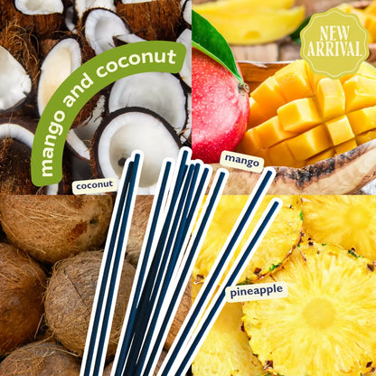 Skyelight Incense Sticks | Highly Fragrant Scented Incense Sticks | Bold Scent Home Fragrances
