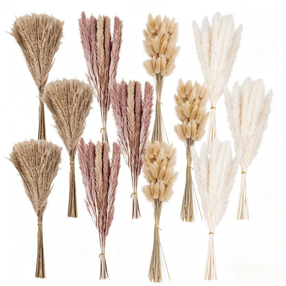 Nortureflora Natural Dried Pampas Grass Decorative Flower Set - 100/200/300/400PCS, Farmhouse Boho Floral Plants for Wedding, Bedroom Aesthetic & DIY Arrangements